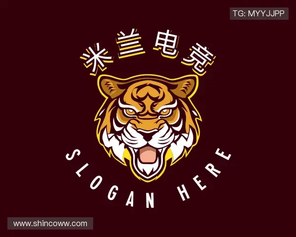 认识米兰电竞